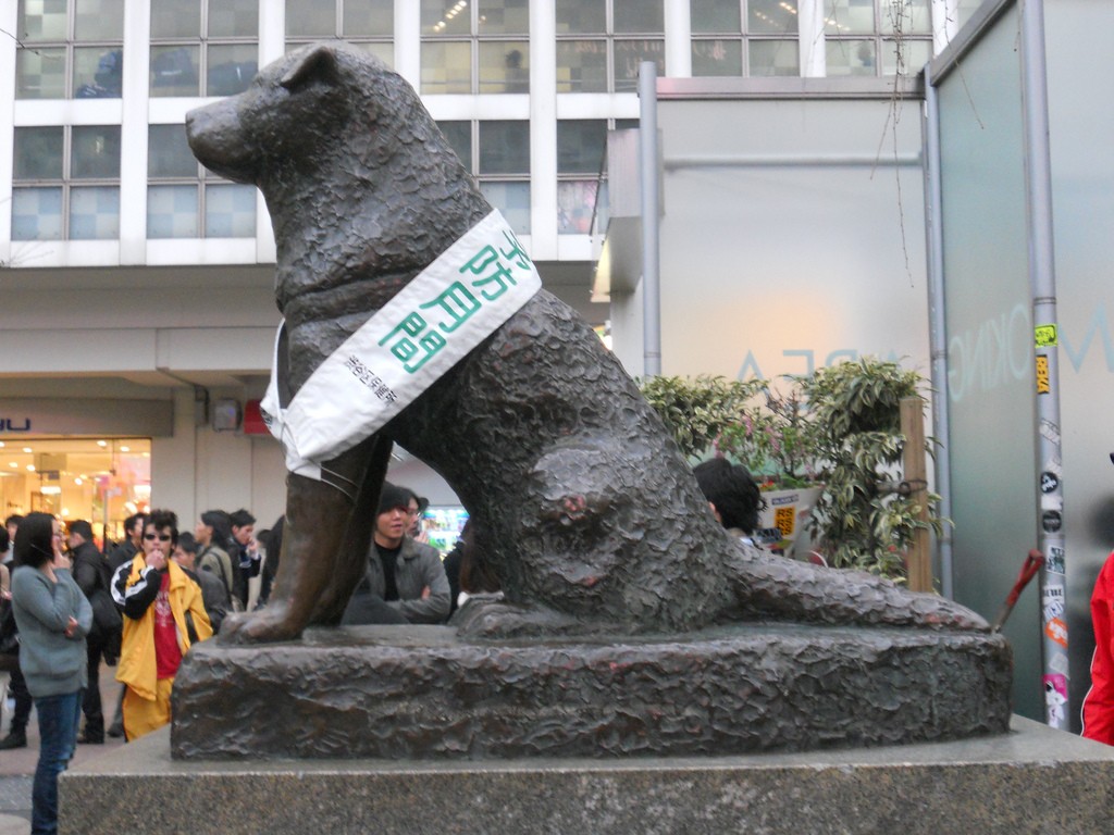 Estatua de Hachiko en la estación de Shibuya. Foto: Meredith P.