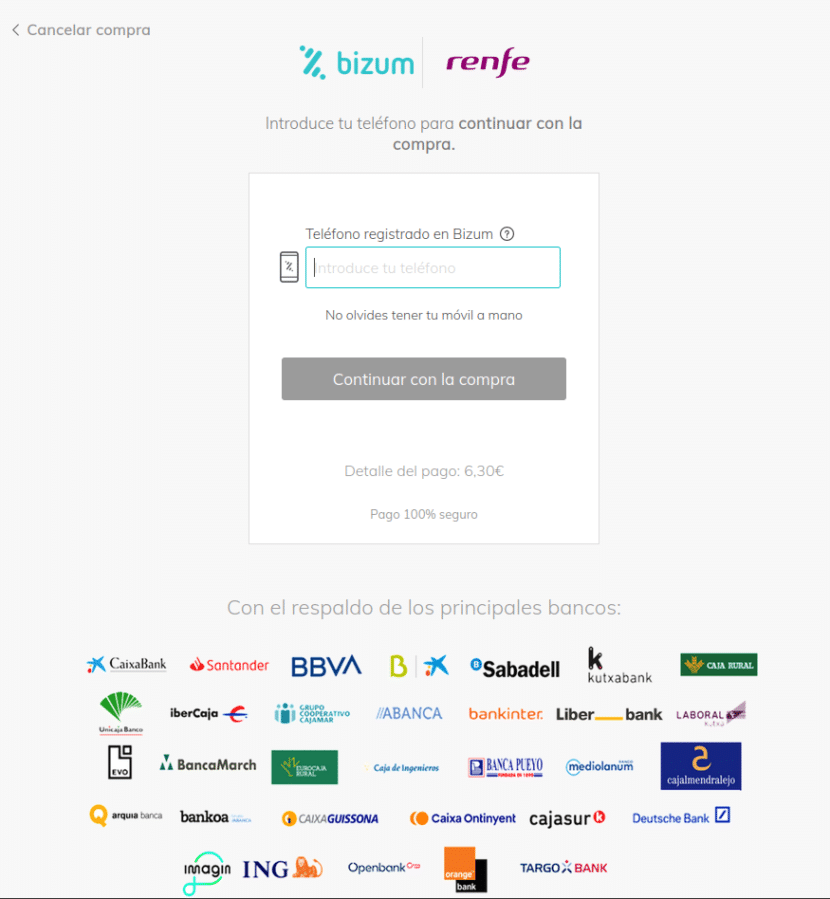 Introducción del número de teléfono en la página de pago de Bizum.