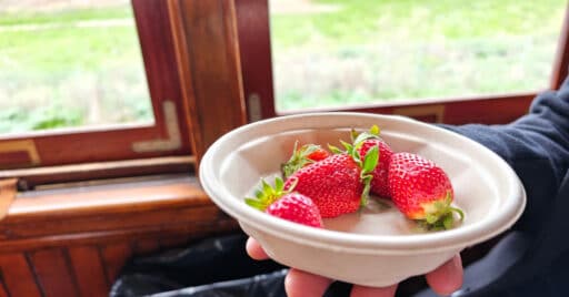 A portion of Aranjuez strawberries served whilst travelling on the Strawberry Train. © TRAINVELLING.